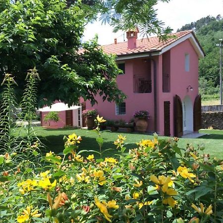 Agriturismo Terrarossa 피스토이아 외부 사진