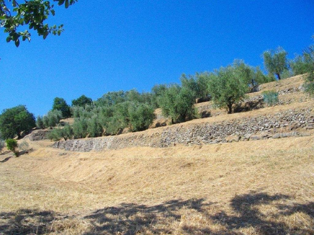 Agriturismo Terrarossa 피스토이아 외부 사진