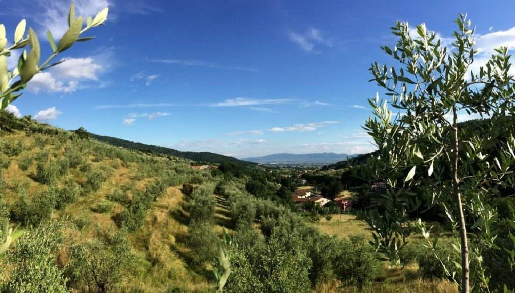 Agriturismo Terrarossa 피스토이아 외부 사진