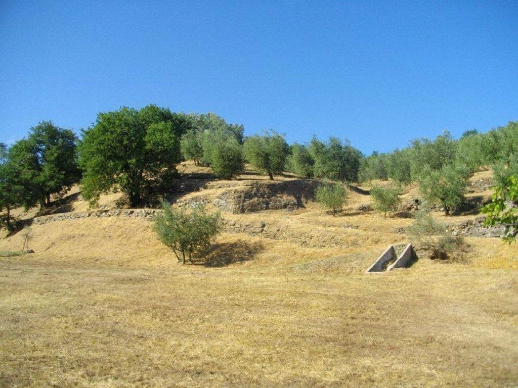 Agriturismo Terrarossa 피스토이아 외부 사진