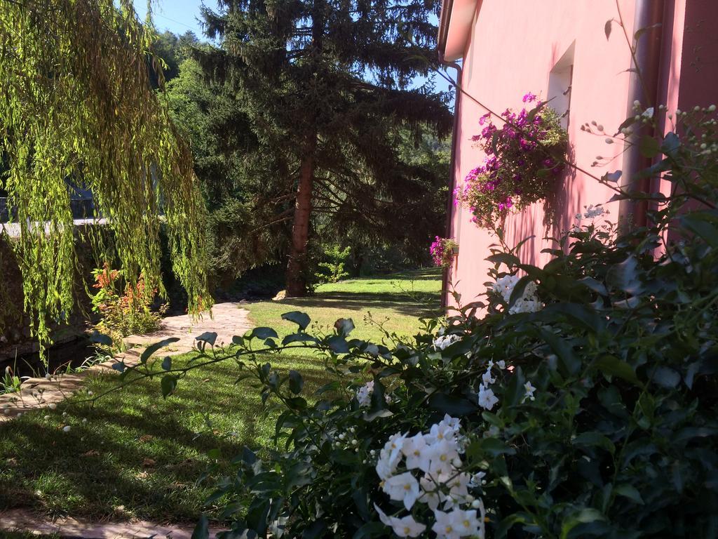 Agriturismo Terrarossa 피스토이아 외부 사진